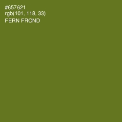 #657621 - Fern Frond Color Image
