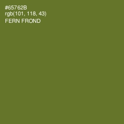 #65762B - Fern Frond Color Image