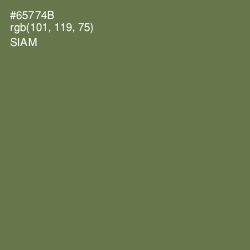 #65774B - Siam Color Image