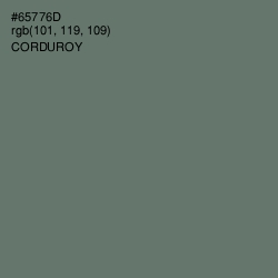 #65776D - Corduroy Color Image
