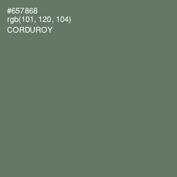 #657868 - Corduroy Color Image