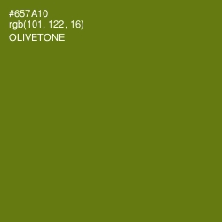 #657A10 - Olivetone Color Image