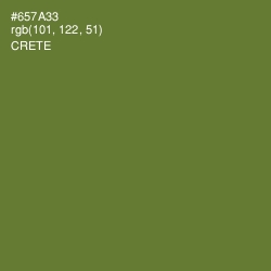 #657A33 - Crete Color Image