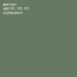 #657A61 - Corduroy Color Image