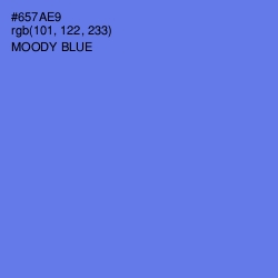 #657AE9 - Moody Blue Color Image