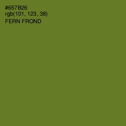 #657B26 - Fern Frond Color Image