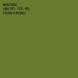 #657B2E - Fern Frond Color Image