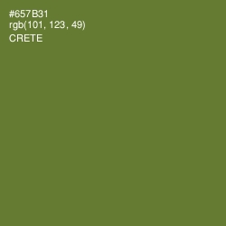 #657B31 - Crete Color Image