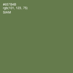 #657B4B - Siam Color Image