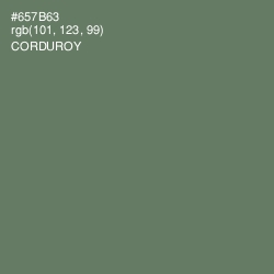 #657B63 - Corduroy Color Image