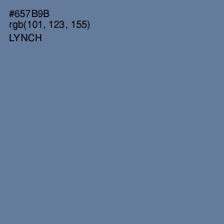 #657B9B - Lynch Color Image