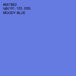 #657BE2 - Moody Blue Color Image