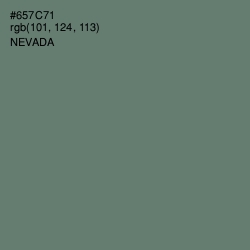 #657C71 - Nevada Color Image