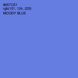 #657CE1 - Moody Blue Color Image