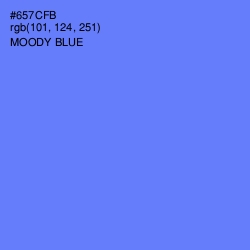 #657CFB - Moody Blue Color Image