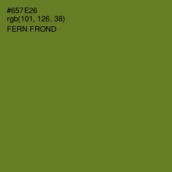 #657E26 - Fern Frond Color Image