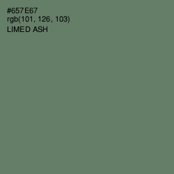 #657E67 - Limed Ash Color Image