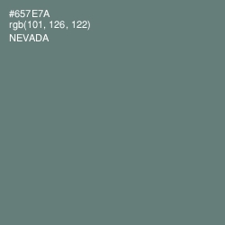 #657E7A - Nevada Color Image