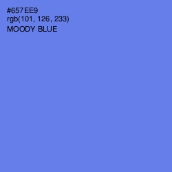 #657EE9 - Moody Blue Color Image