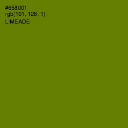 #658001 - Limeade Color Image