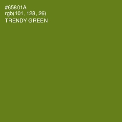 #65801A - Trendy Green Color Image