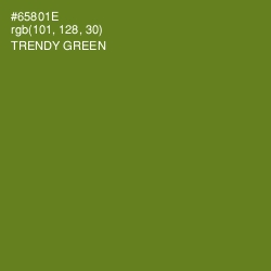 #65801E - Trendy Green Color Image