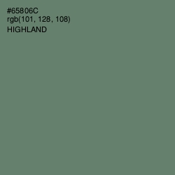 #65806C - Highland Color Image