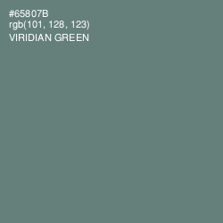 #65807B - Viridian Green Color Image