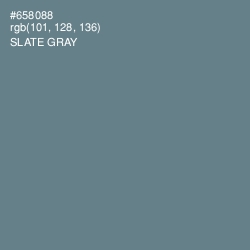 #658088 - Slate Gray Color Image