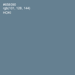 #658090 - Hoki Color Image
