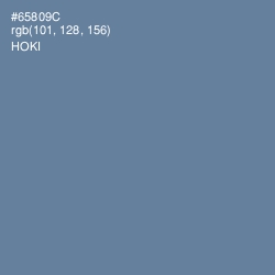 #65809C - Hoki Color Image