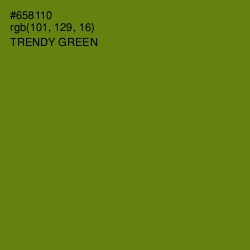 #658110 - Trendy Green Color Image