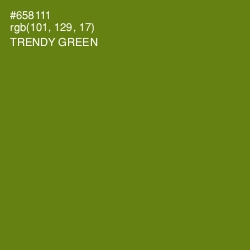 #658111 - Trendy Green Color Image