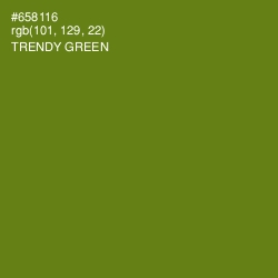 #658116 - Trendy Green Color Image