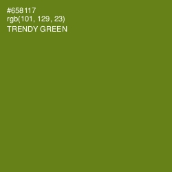 #658117 - Trendy Green Color Image