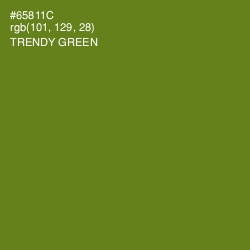 #65811C - Trendy Green Color Image