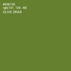 #658130 - Olive Drab Color Image