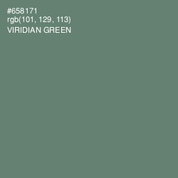 #658171 - Viridian Green Color Image