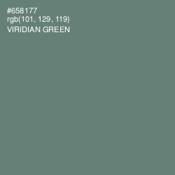 #658177 - Viridian Green Color Image