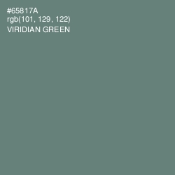 #65817A - Viridian Green Color Image