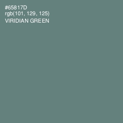 #65817D - Viridian Green Color Image