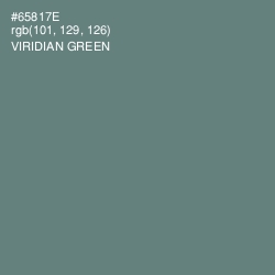 #65817E - Viridian Green Color Image