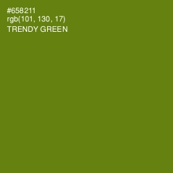 #658211 - Trendy Green Color Image