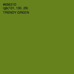 #65821D - Trendy Green Color Image