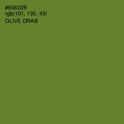 #65822B - Olive Drab Color Image