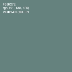 #65827E - Viridian Green Color Image