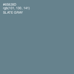 #65828D - Slate Gray Color Image