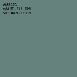 #65837C - Viridian Green Color Image