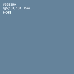 #65839A - Hoki Color Image