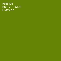 #658405 - Limeade Color Image